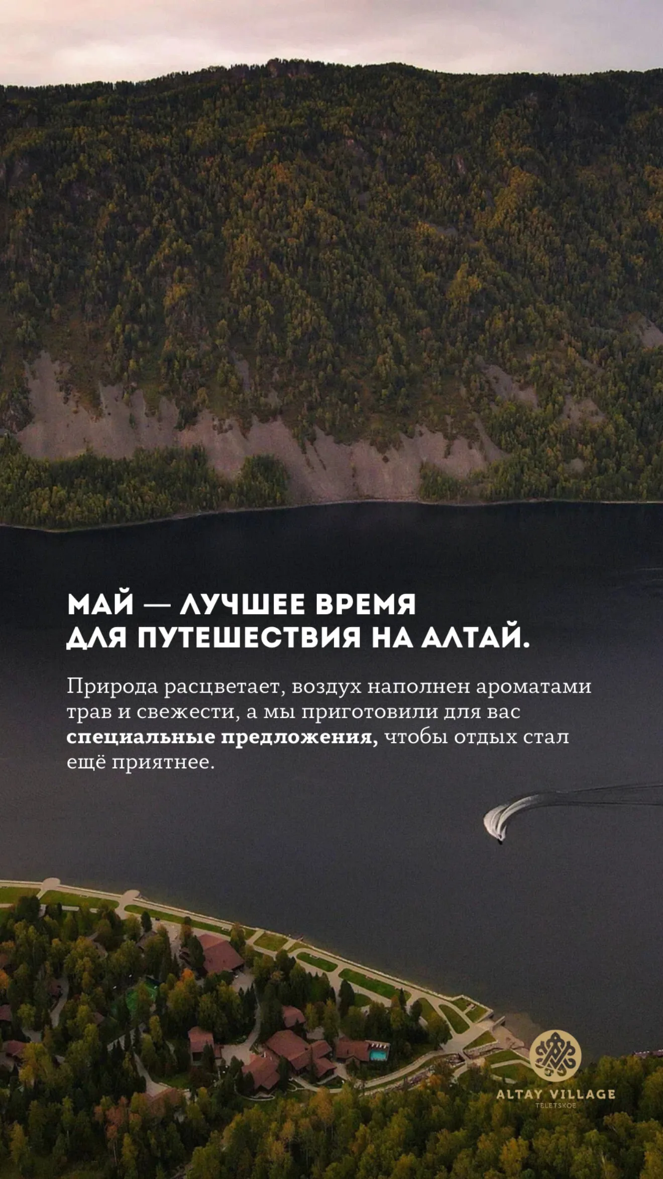 SMM-кейс I AM AGENCY для ресторанов, кафе и HoReCa: визуальная концепция и контент, пример 12