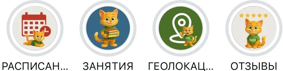 SMM-кейс I AM AGENCY для спорта и образования: визуальная концепция и контент, пример 20