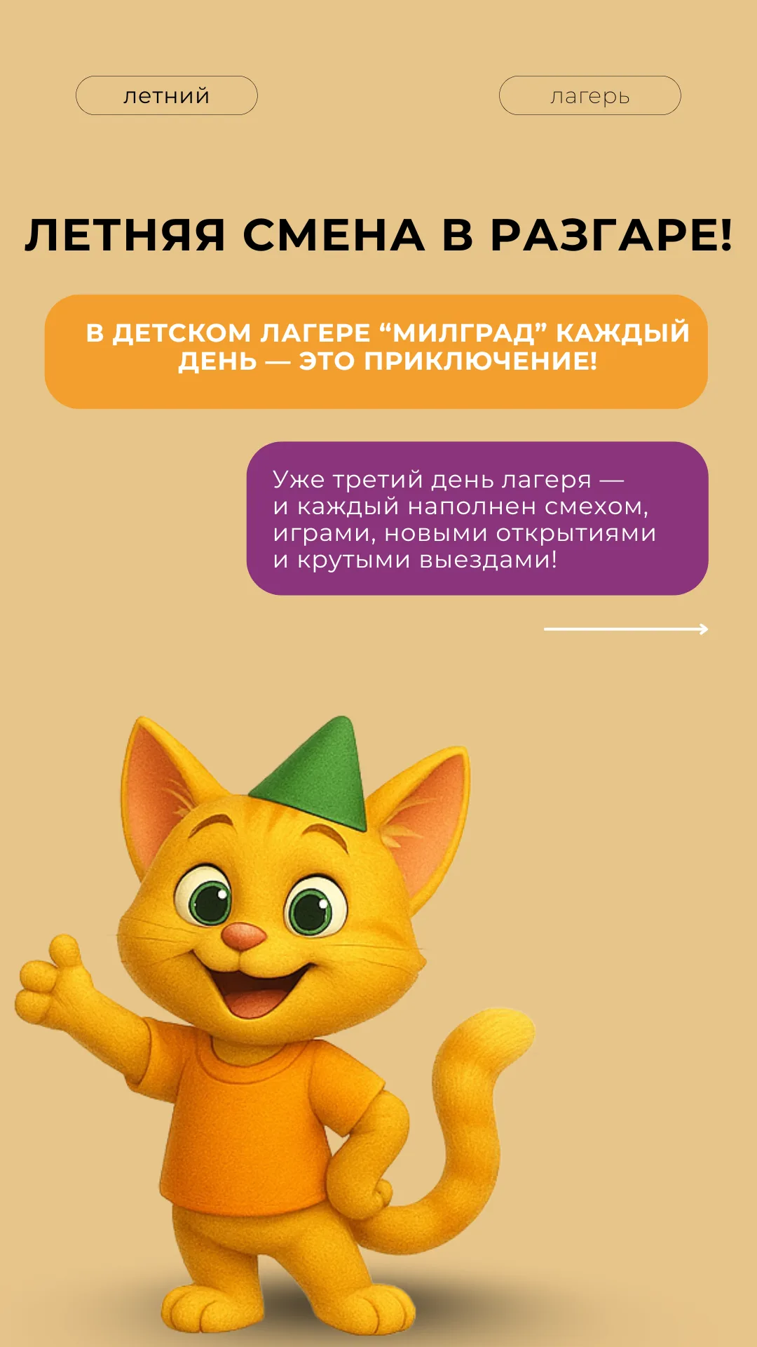 SMM-кейс I AM AGENCY для спорта и образования: визуальная концепция и контент, пример 31