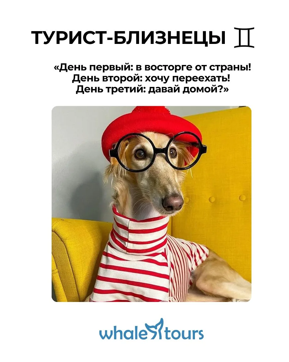 SMM-кейс I AM AGENCY для туризма и путешествий: визуальная концепция и контент, пример 20