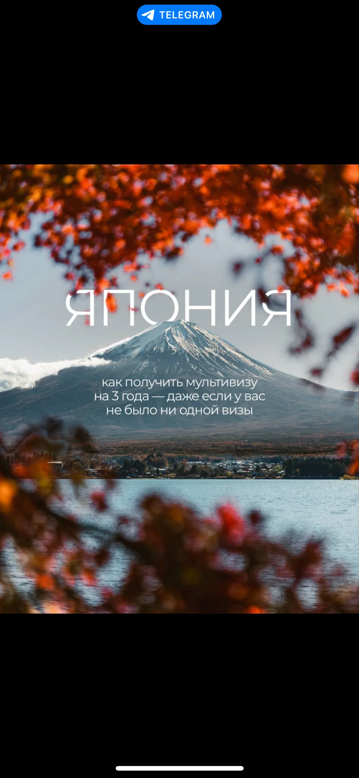 SMM-кейс I AM AGENCY для туризма и путешествий: визуальная концепция и контент, пример 40